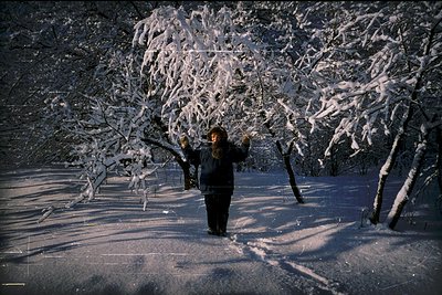 Winter forest scene featuring a lone individual in winter attire walking through snow-covered terrain. Snow-laden trees frame...