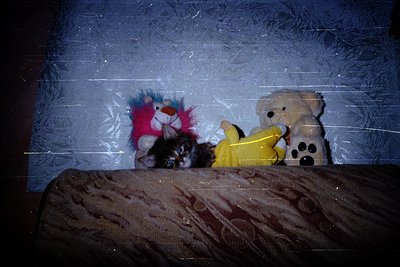 Vintage stuffed animals—yellow banana toy, pink/blue bird, and brown teddy—rest on a patterned bedspread. A black-and-white k...