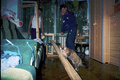 Vintage interior shot of a flooded room with two adults and a cat navigating debris. Wooden planks serve as makeshift walkway...