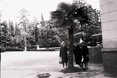 Four women pose near a palm tree in a landscaped courtyard, likely mid-20th century. Architectural elements include a stone w...