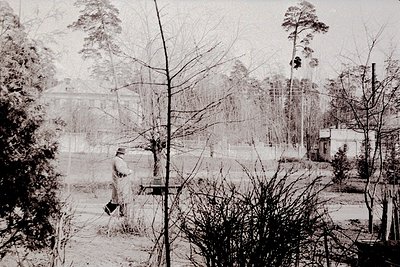 Vintage sepia-toned park scene with lone figure walking near a bench. Dense pine forest and a distant building frame the comp...