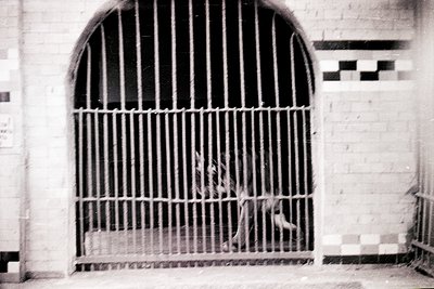 Black-and-white prison cell door with vertical bar grille, arched top, and concrete block walls. Interior shows a bunk bed wi...