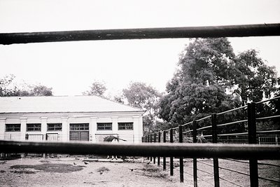 Mid-century institutional building with flat roof and rectangular windows, framed by rustic metal fencing. Overcast sky and l...