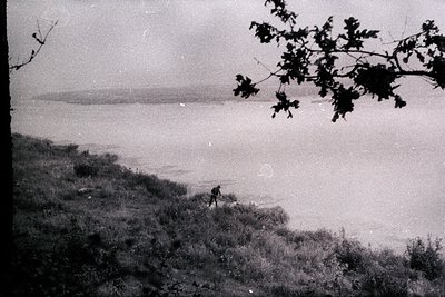 Black-and-white coastal landscape featuring a lone figure walking along a grassy cliffside overlooking a calm sea. Overgrown ...