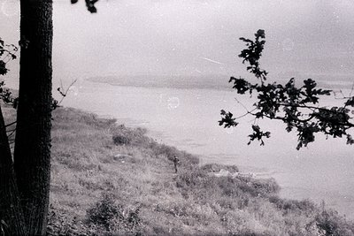 Vintage black-and-white coastal landscape with blurred foreground tree framing a grassy slope descending to a calm sea. Mid-2...