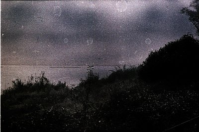 Vintage sepia-toned nighttime coastal scene with faint horizon line. Dense foliage in foreground contrasts with distant, bare...