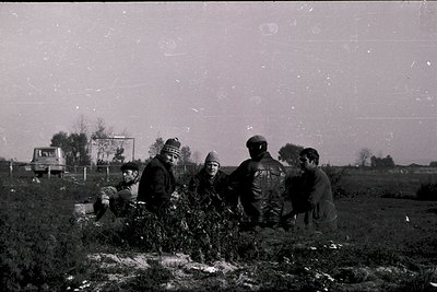 Vintage black-and-white photo of five individuals seated on a grassy mound, likely mid-20th century rural setting. Group appe...
