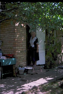 A woman in a white blouse and dark skirt stands in a sunlit courtyard, framed by a brick wall and leafy branches. She holds a...