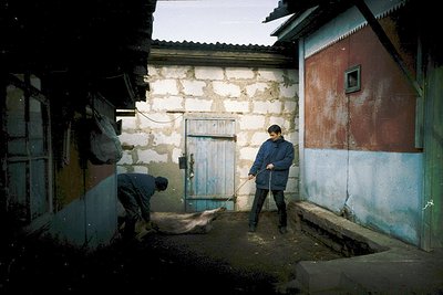 Rural courtyard with weathered stone and painted wooden structures. Two men—one kneeling beside a pig, the other standing—hig...