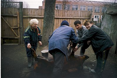 Four individuals collaborate on repairing a rusted metal structure in a courtyard, likely a vintage tractor or agricultural e...