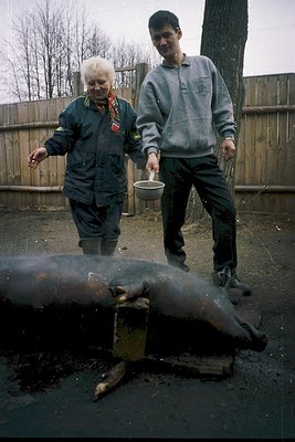 Two individuals assist with butchering a pig in an outdoor setting, likely rural. The woman wears a red-and-white striped sca...