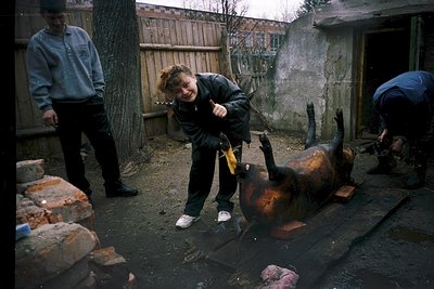 A young person in a dark jacket poses triumphantly beside a butchered cow carcass on a concrete slab, surrounded by three adu...