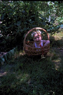 Vintage photo of an infant seated in a woven basket surrounded by lush greenery, likely a garden or forest setting. The child...