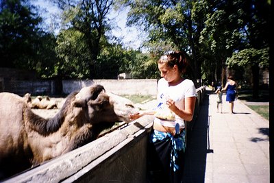 A young child feeds two camels in a zoo enclosure, likely mid-1990s. Wooden barriers separate visitors from animals; lush gre...