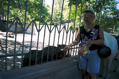 Woman feeding ducks near a wrought-iron fence and stone water feature, holding a plastic bag of bread. Lush greenery and tree...