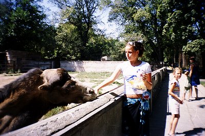A woman feeds a brown bear through a concrete barrier in a zoo enclosure, surrounded by lush greenery. The vintage filter sug...
