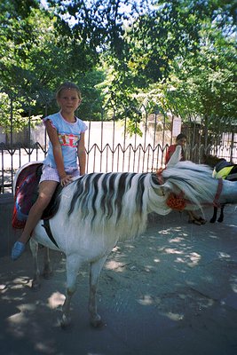Young girl riding a painted donkey with black-and-white stripes in an urban park setting. Bright floral shirt and white short...