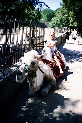Young girl in vintage dress rides a decorated donkey in an urban park setting, likely mid-20th century. Ornate saddle and bri...
