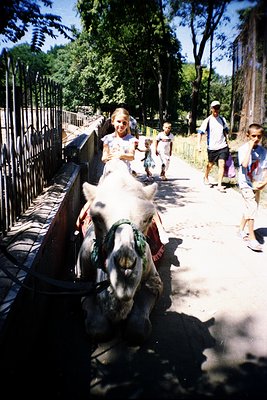 A young girl rides a donkey along a shaded pathway in a park, flanked by metal railings. Other children and adults walk nearb...