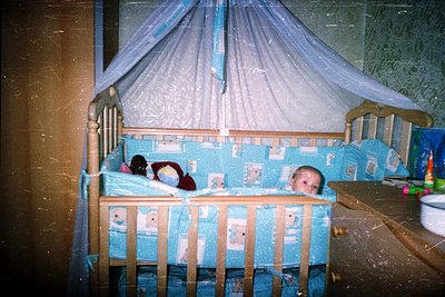 Vintage wooden crib with blue floral bedding, draped with sheer curtains. Infant and toddler sleeping inside. Interior shows ...