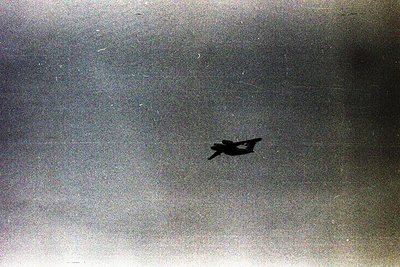 Vintage black-and-white aerial shot of a lone bird in flight over a textured, possibly agricultural or urban surface. The gra...