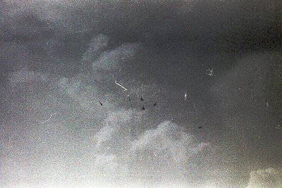 Vintage sepia-toned aerial view of a coastal landscape with scattered dark silhouettes—likely birds or aircraft—against cloud...