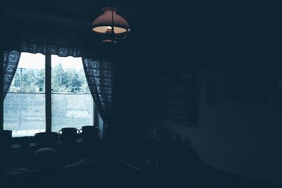 Vintage interior shot featuring a dimly lit room with a single window revealing overcast outdoor greenery. A vintage pendant ...