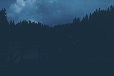 Silhouetted forest scene with dense coniferous trees under dramatic twilight sky. Moody, high-contrast lighting captures silh...