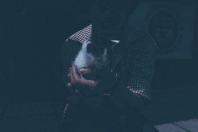 Soft-focus portrait of a person cradling a small white kitten in a checkered cloth. Warm lighting contrasts against dark back...