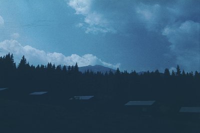 Vintage alpine landscape with dense coniferous forest under moody skies. Distant mountain peaks partially obscured by clouds....
