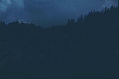 Silhouetted forest line against dusky sky, low-angle composition. Dense coniferous trees frame a misty horizon, evoking atmos...