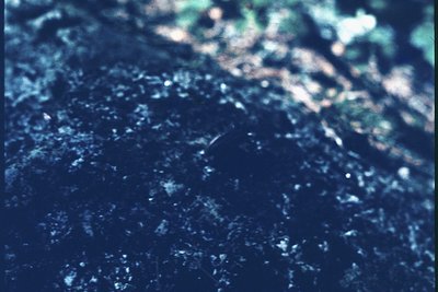 Close-up of textured asphalt road surface with faint white markings and minor debris. Likely captured with vintage or low-res...