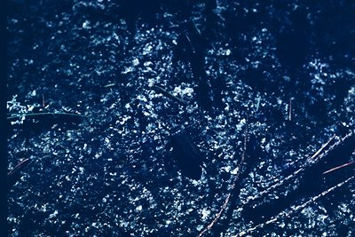 Close-up of frost crystals on a dark, textured surface, likely glass or metal. The intricate, starburst patterns suggest cold...