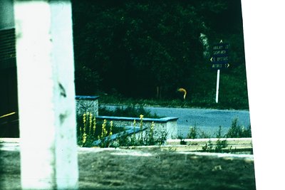 Vintage slide of a roadside scene with a directional signpost pointing to "Софія" (Sofia) and "Пловдив" (Plovdiv). Concrete b...