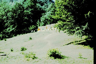 Vintage campground scene with 1960s-style canvas tents pitched on a grassy hillside, surrounded by dense coniferous forest. P...