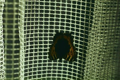 Close-up of a rusted metal mesh barrier with a dark, weathered hole revealing a shadowy interior. The texture suggests aged i...