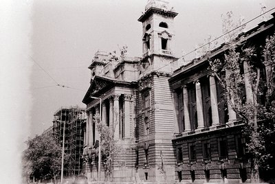 Another photo from this roll