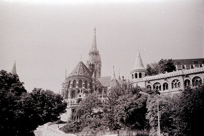 Another photo from this roll