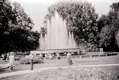 Another photo from this roll