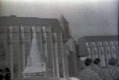 Another photo from this roll