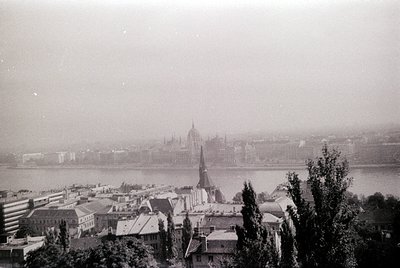 Another photo from this roll
