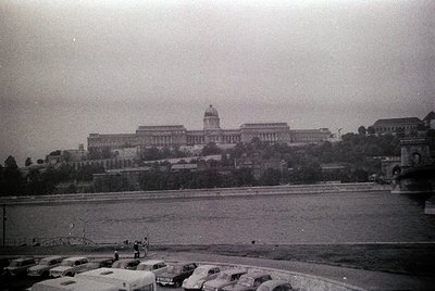 Another photo from this roll
