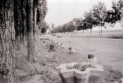 Another photo from this roll
