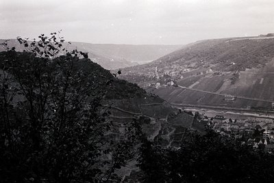 Vintage black-and-white aerial view of terraced vineyards and rolling hills, likely European. Distinctive stepped cultivation...