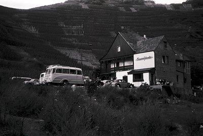 Mid-century alpine lodge with "Sauerbraten" sign, nestled in terraced vineyards. Classic 1950s-60s vintage bus parked beside ...