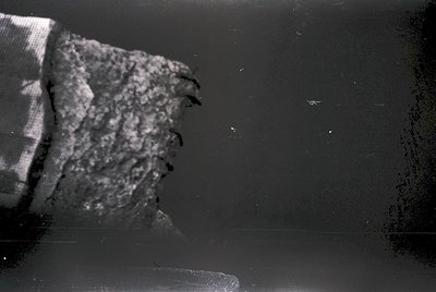Close-up of a vintage, torn photograph corner showing distressed edges and partial text. Likely mid-20th century due to grain...