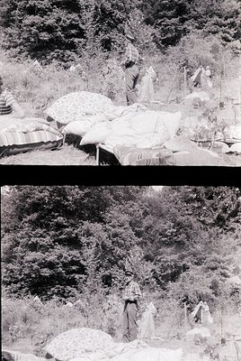 Mid-20th century black-and-white photo of outdoor salt harvesting. Workers in simple clothing stand among large, stacked salt...