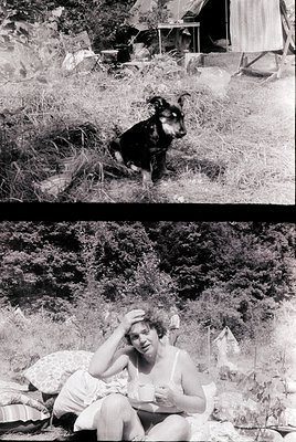 Vintage black-and-white split photo: Top—small black-and-white dog sits alert on rocky, overgrown terrain with makeshift shel...