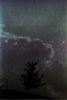 Vintage black-and-white photo of a lone tree silhouetted against dramatic storm clouds, likely taken during the 1940s-1960s. ...