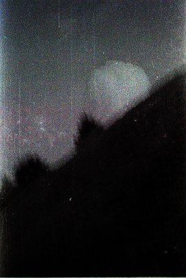 Vintage film grain and overexposed moonlit landscape. Silhouetted tree branches frame a bright, diffuse moon near full phase,...